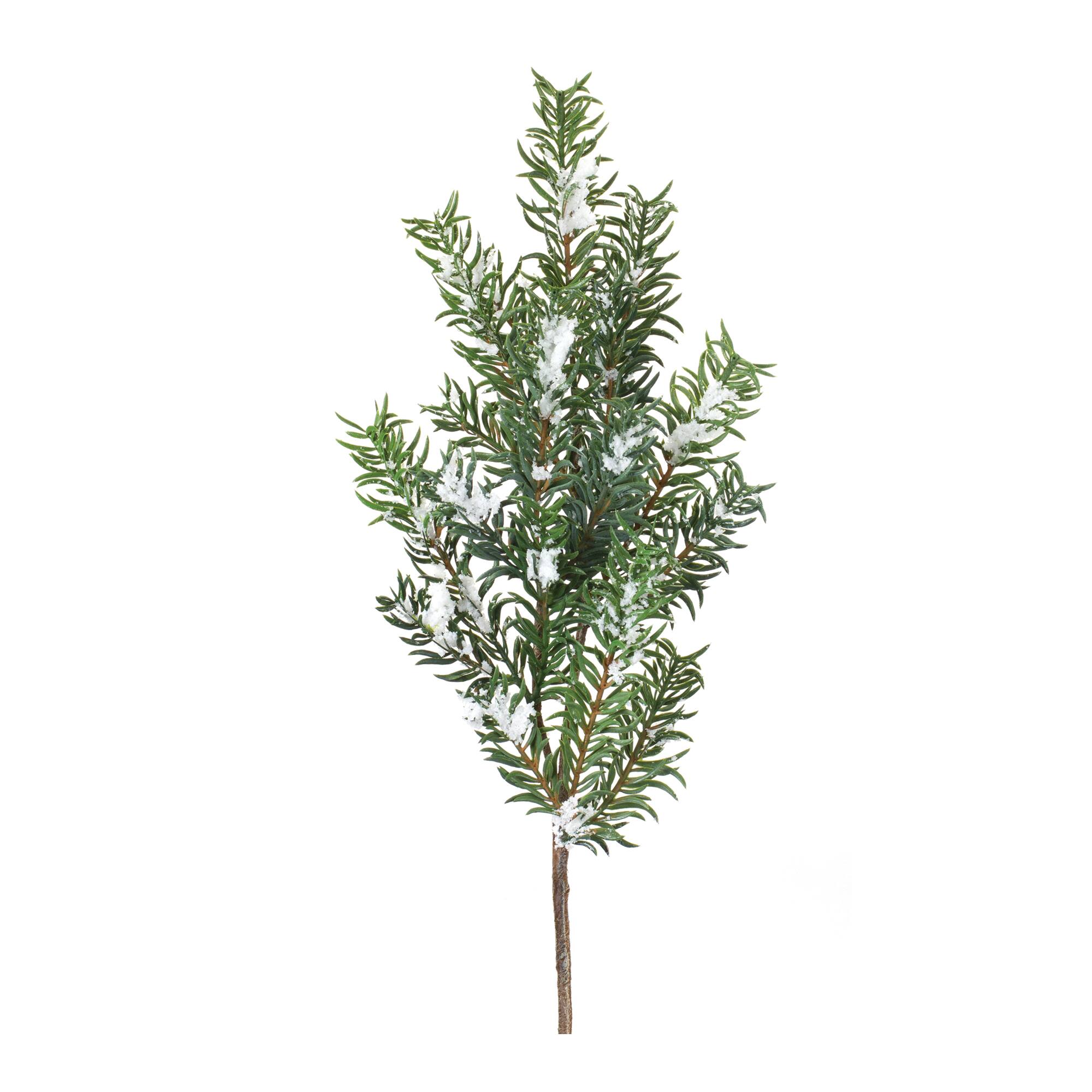 30" Snowy Pine Leaf Sprays, 6ct.